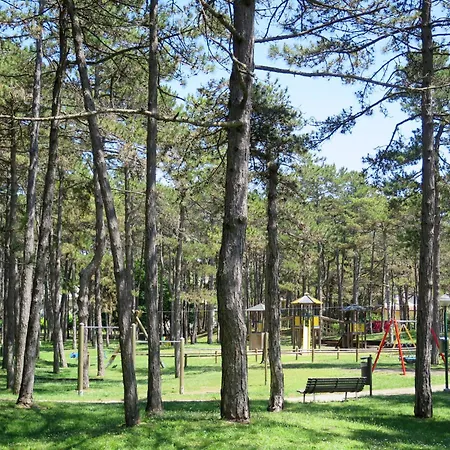 Parco Hemingway-9 By Interhome 公寓 *